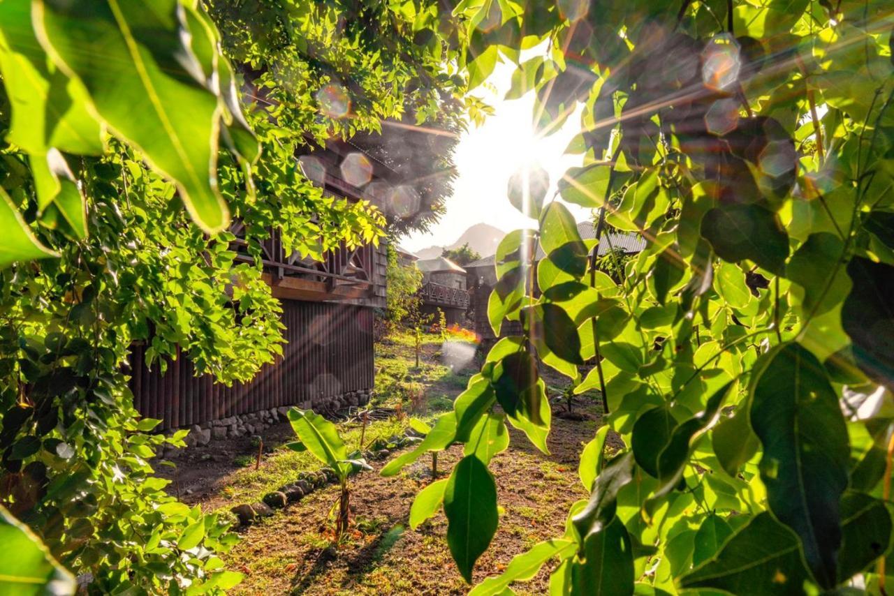 Jungle Bay Dominica Hotel Soufriere Exterior photo